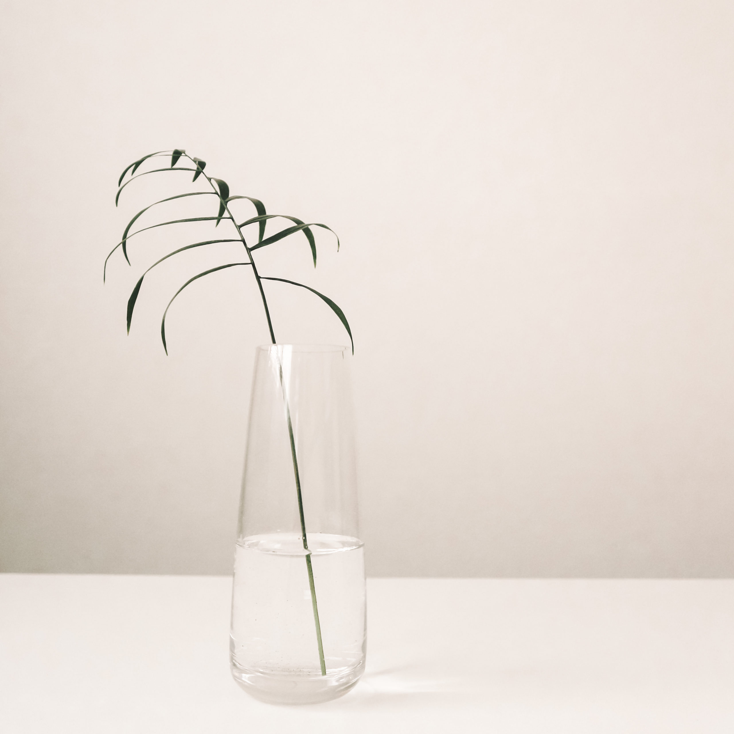 Vase with water and a plant leaf.