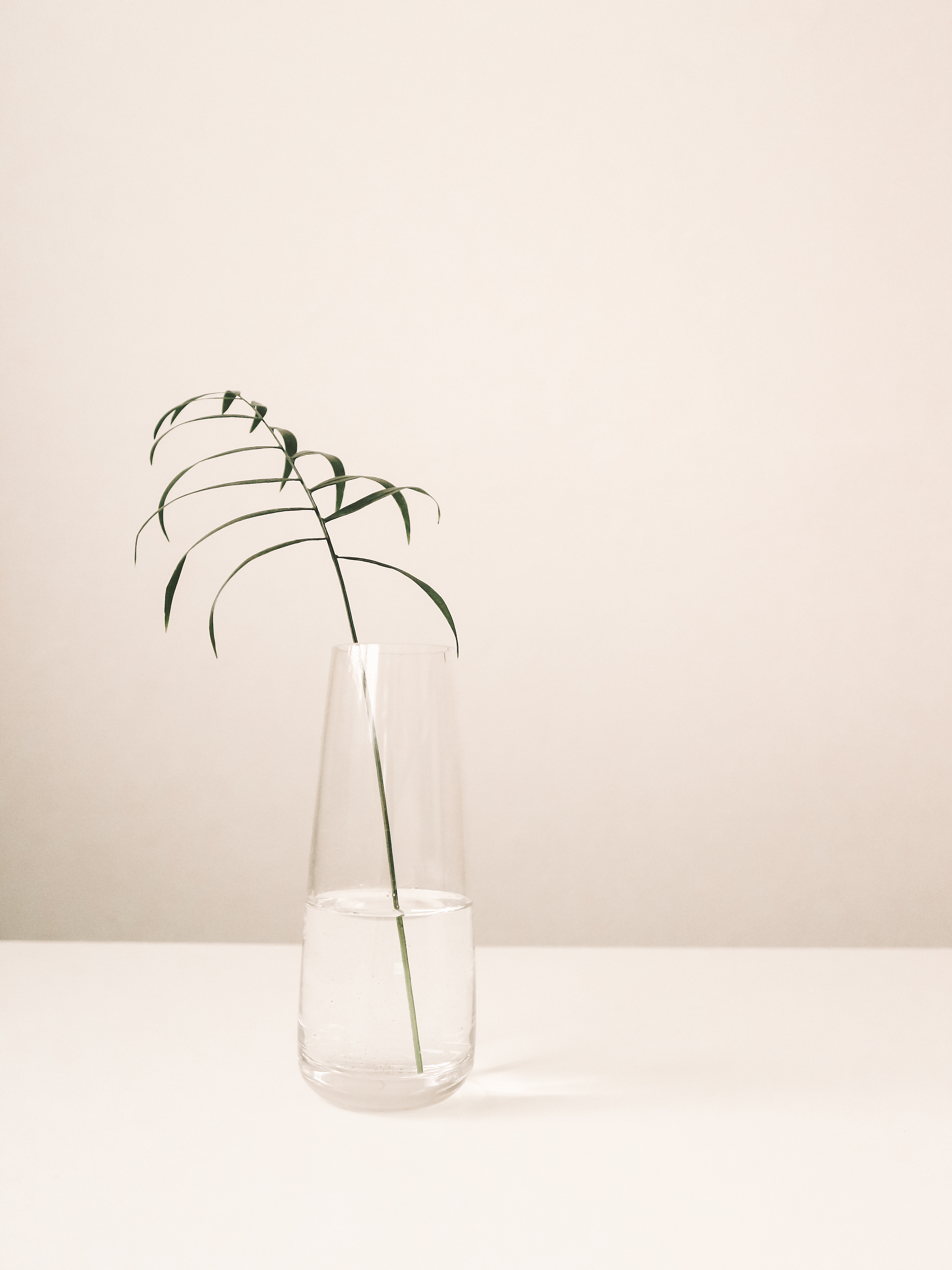 Clear vase with a leaf on a white table.